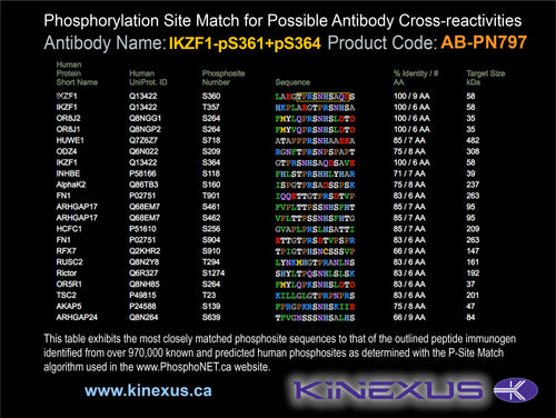 AB-PN797