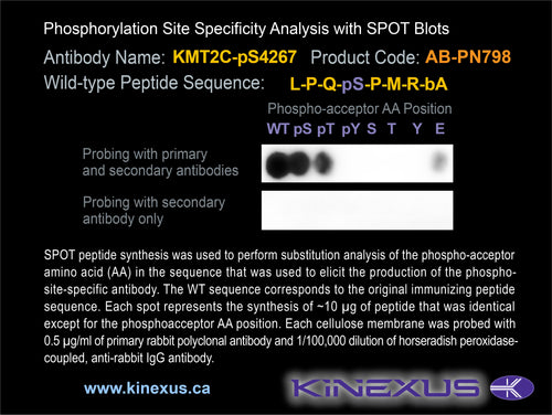 AB-PN798