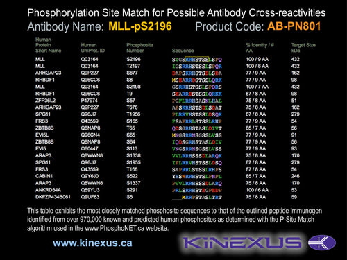 AB-PN801