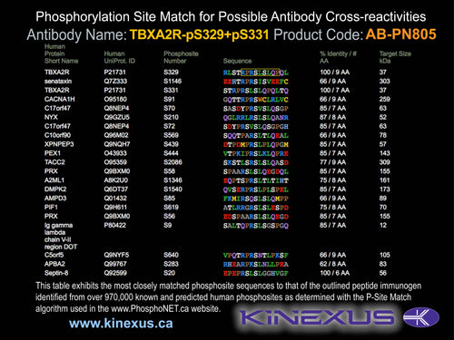 AB-PN805