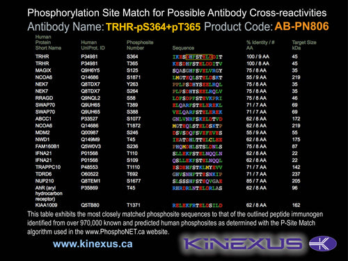 AB-PN806