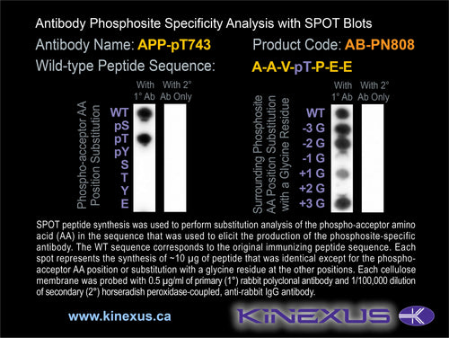 AB-PN808