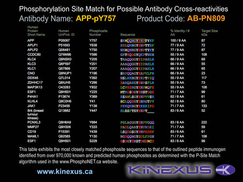 AB-PN809