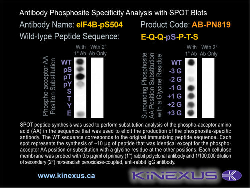 AB-PN819