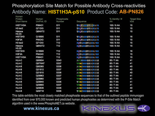 AB-PN826