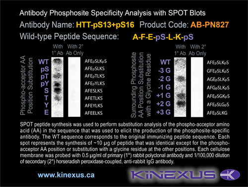AB-PN827