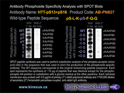 AB-PN827