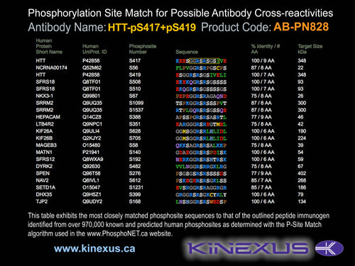 AB-PN828