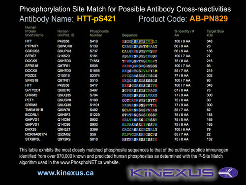 AB-PN829