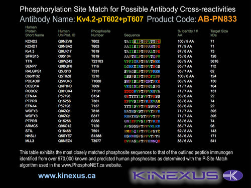 AB-PN833