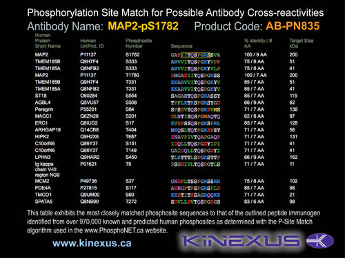 AB-PN835