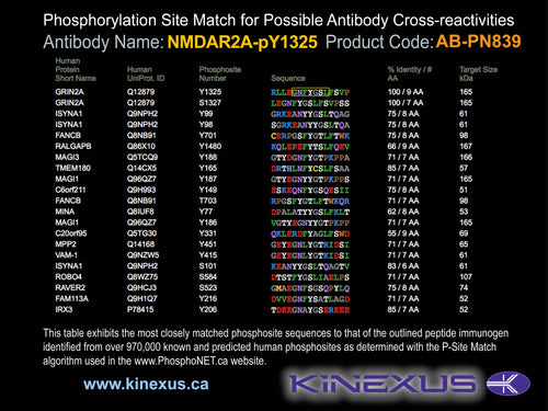 AB-PN839