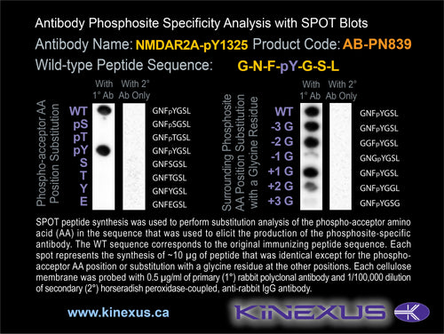 AB-PN839