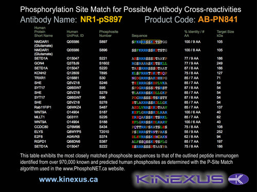 AB-PN841