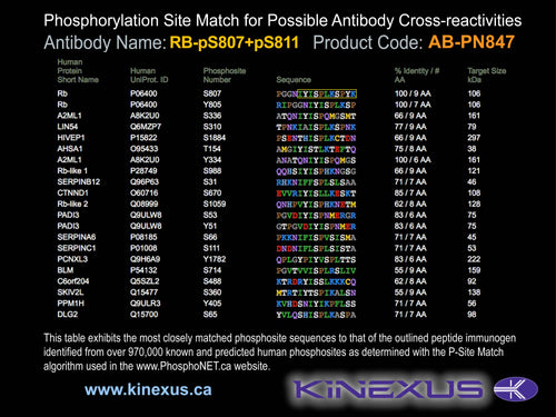 AB-PN847