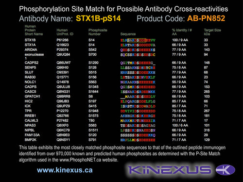 AB-PN852