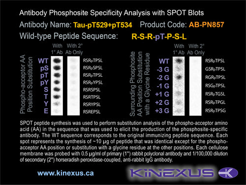 AB-PN857