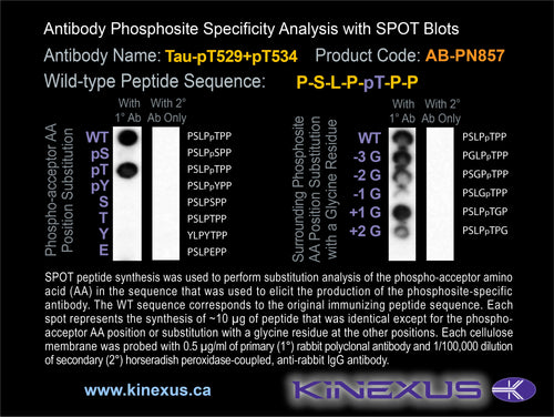 AB-PN857