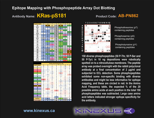 AB-PN862