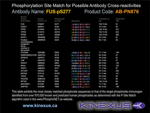 AB-PN876