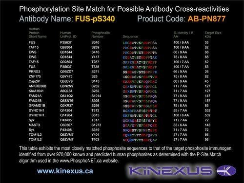 AB-PN877