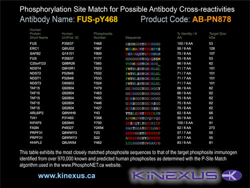 AB-PN878