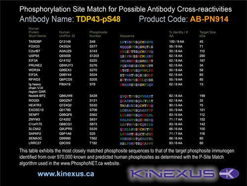 AB-PN914