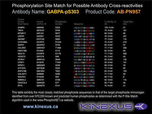 AB-PN957